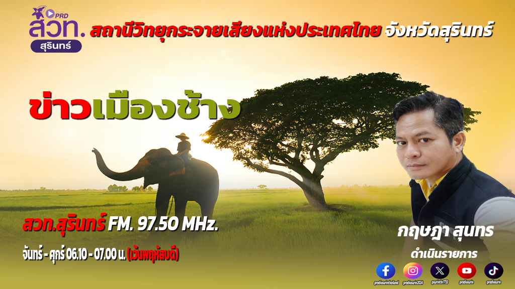 ข่าวเมืองช้าง