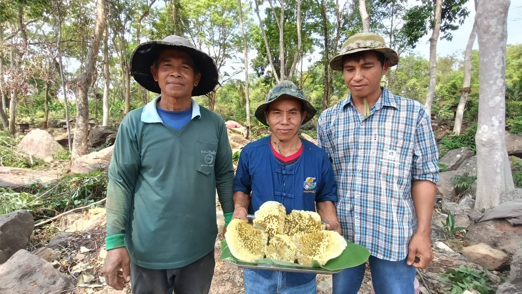 ชาวบัวเชด ต่อยอดอาชีพ เลี้ยงผึ้งโพรงสร้างรายได้ เสริมท่องเที่ยวชุมชน