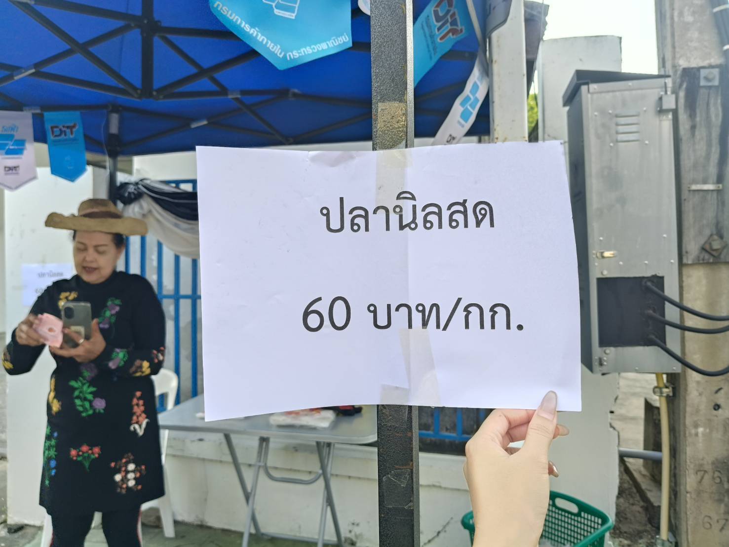 พาณิชย์สุรินทร์จับมือประมง เปิดจุดขายปลานิลสดคุณภาพดี กิโลละ 60 บาท ช่วยเกษตรกรระบายสินค้าและลดค่าครองชีพประชาชน