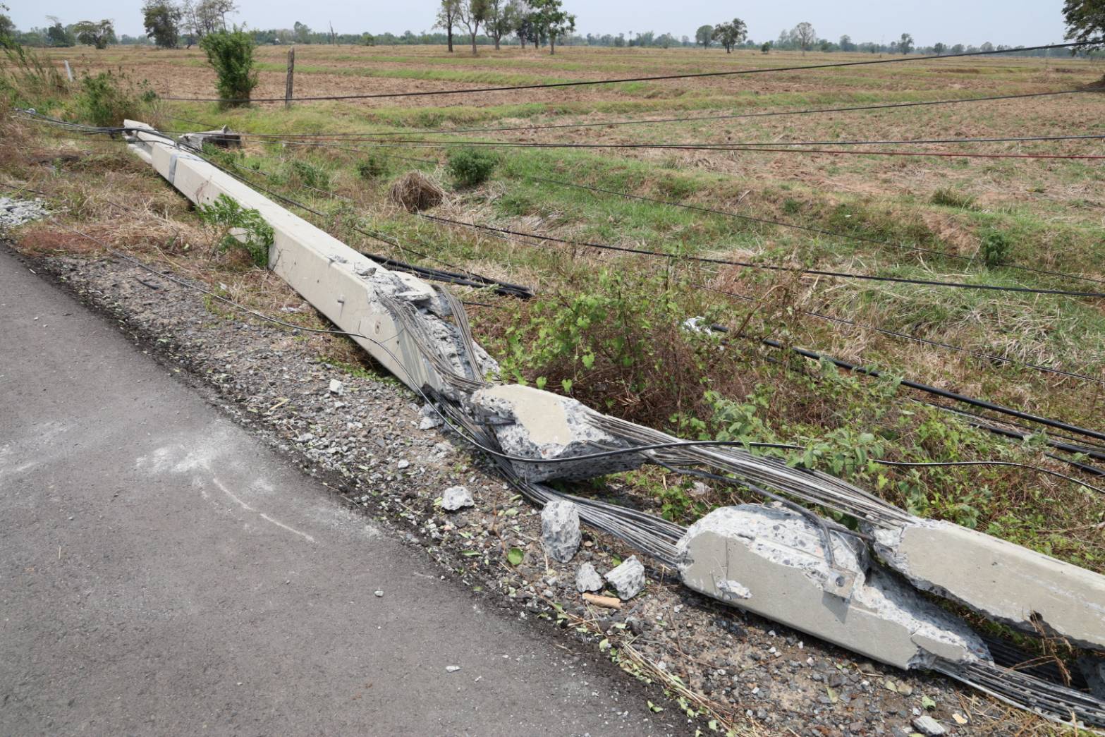 พายุหมุนถล่มสุรินทร์ เสาไฟฟ้าโค่นกว่า 30 ต้น การไฟฟ้าฯ เร่งแก้ไข เร่งคืนไฟให้ประชาชน