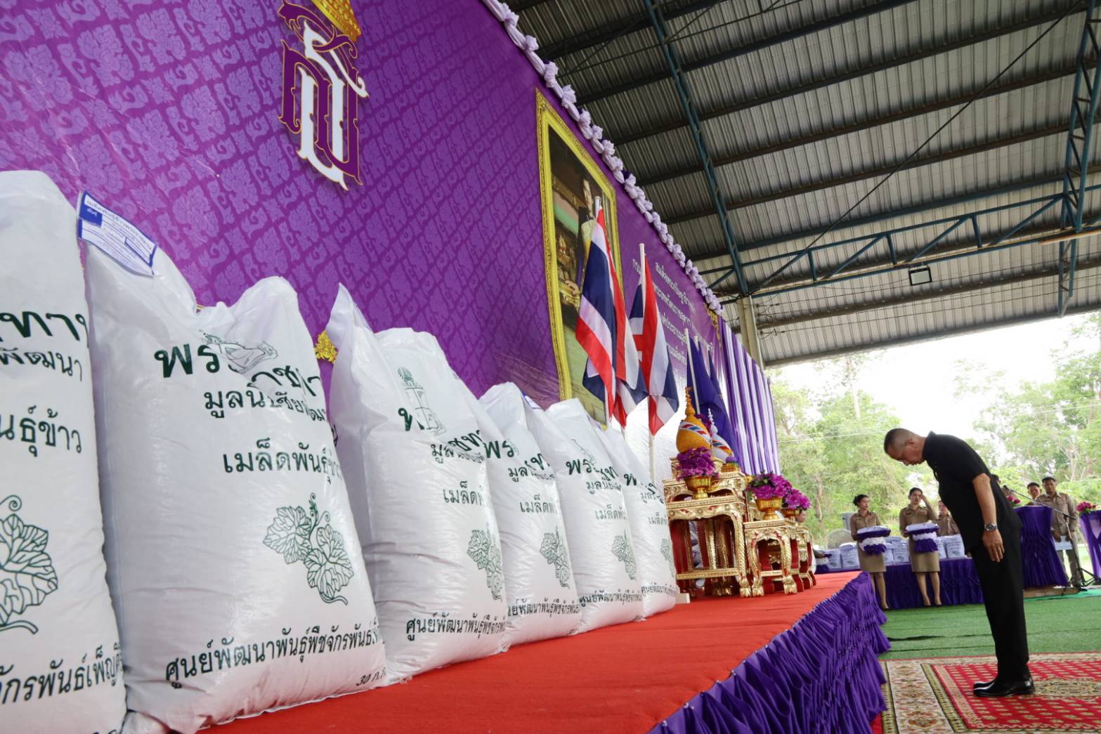 สมเด็จพระกนิษฐาธิราชเจ้า กรมสมเด็จพระเทพรัตนราชสุดา ฯ สยามบรมราชกุมารี พระราชทานเมล็ดพันธุ์ข้าวหอมมะลิ 105 ของมูลนิธิชัยพัฒนา แก่ราษฎรและเกษตรกรผู้ประสบอุทกภัยในจังหวัดสุรินทร์