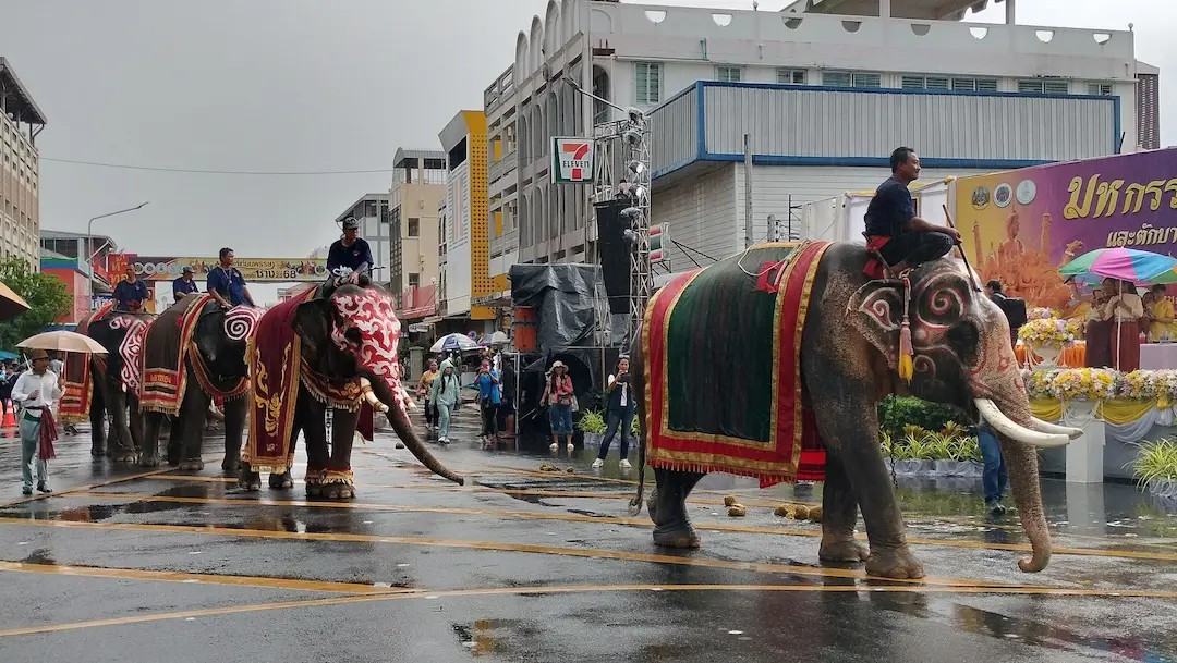 จ.สุรินทร์ เตรียมจัดงาน &ldquo;มหกรรมแห่เทียนพรรษาและตักบาตรบนหลังช้าง ประจำปี 2569&rdquo; สืบสานประเพณีอันดีงาม ส่งเสริมการท่องเที่ยว และกระตุ้นเศรษฐกิจในพื้นที่